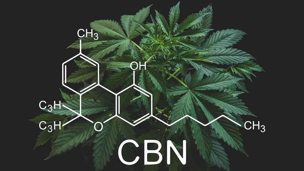 benefits of cbn products